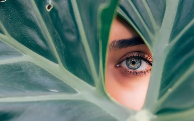 Перспективы нумерологии