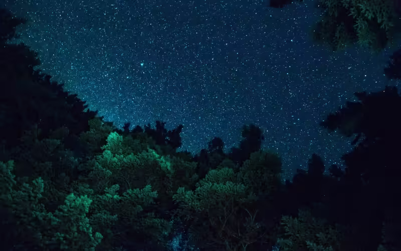 Аджна в жизни